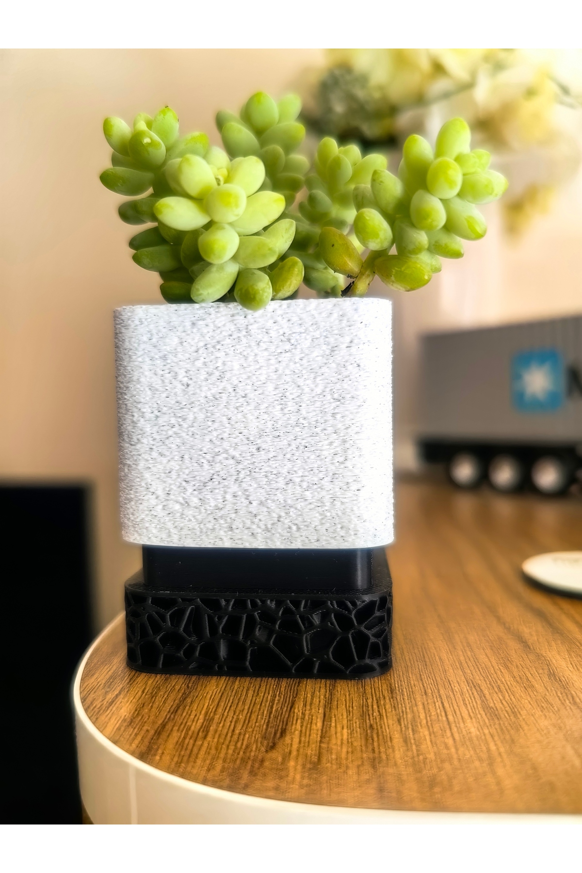 Canlı Sukulentli Dekoratif Mini Beton Görünümlü Saksı - Hediyelik İç Mekan Bitki Saksısı 5x5 cm