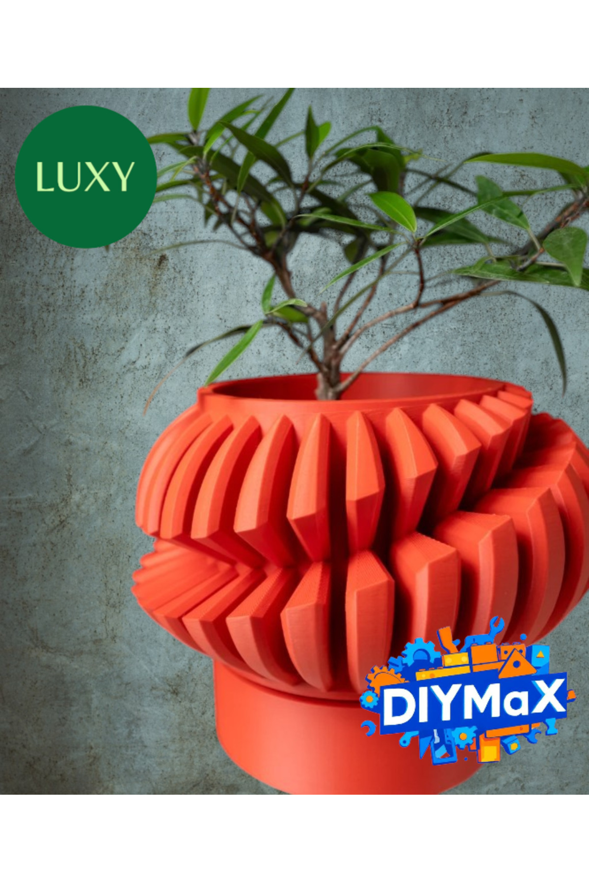LUXY Modern Saksı 7 cm – Alt Taban 2.5 cm Dekoratif Bitki Saksısı Salon Balkon Ofis