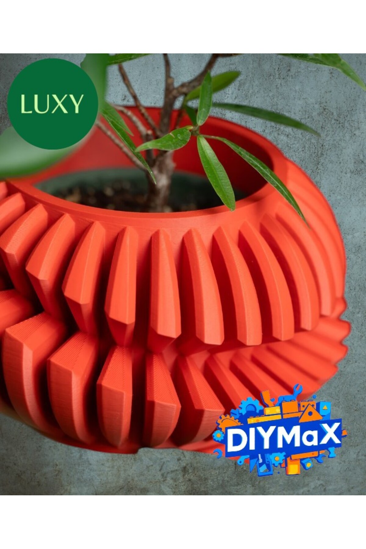 LUXY Modern Saksı 7 cm – Alt Taban 2.5 cm Dekoratif Bitki Saksısı Salon Balkon Ofis