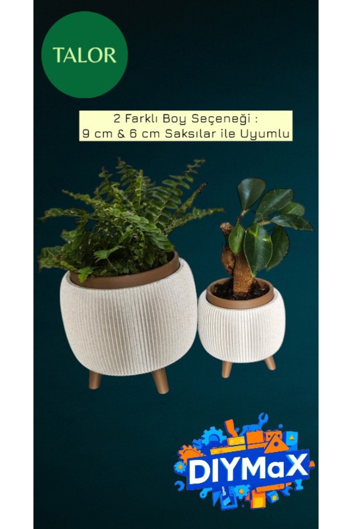 TALOR Ayaklı Saksı 2 Farklı Boy 9 cm ve 6 cm Modern Dekoratif Bitki Saksısı