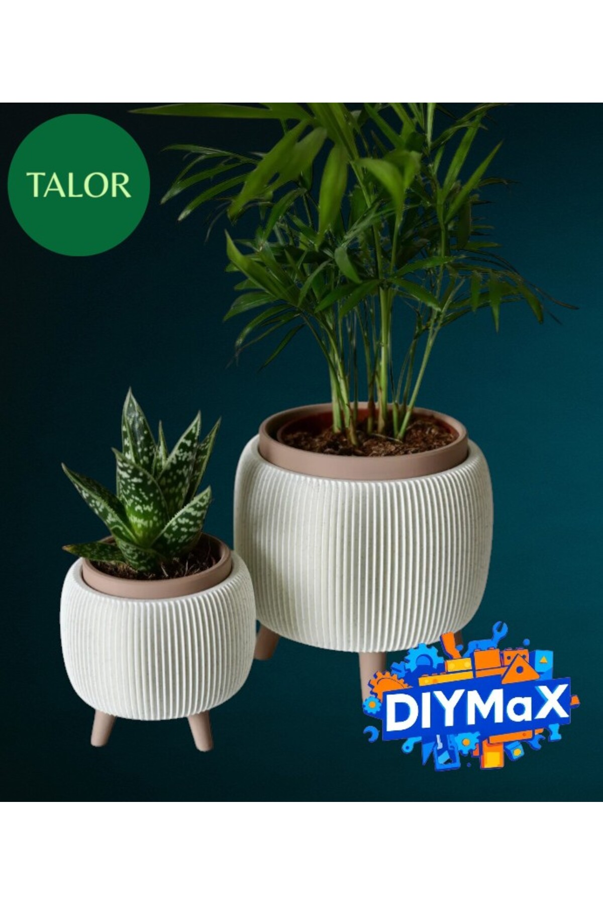 TALOR Ayaklı Saksı 2 Farklı Boy 9 cm ve 6 cm Modern Dekoratif Bitki Saksısı