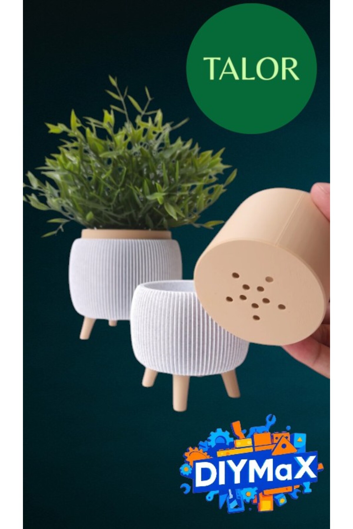 TALOR Ayaklı Saksı 2 Farklı Boy 9 cm ve 6 cm Modern Dekoratif Bitki Saksısı