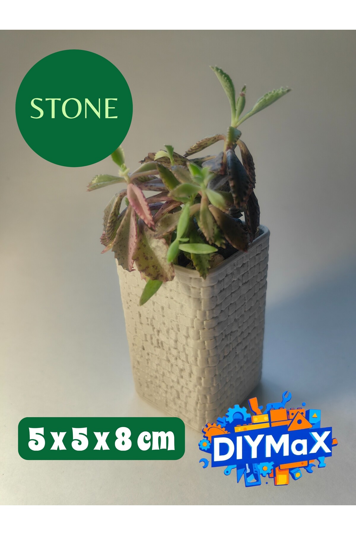 STONE Model Dekoratif Saksı 5x5x8 cm – Parmaklık Desenli Modern Mini Sukulent & Kaktüs Saksısı